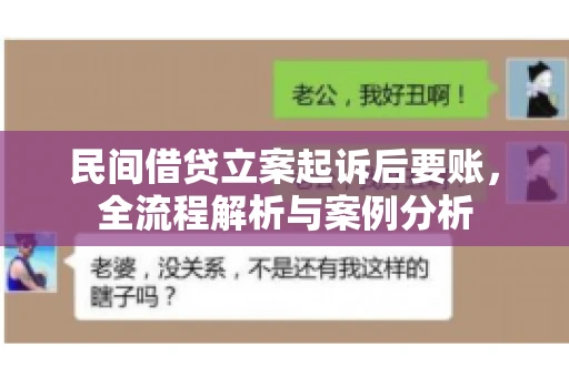 民间借贷立案起诉后要账，全流程解析与案例分析