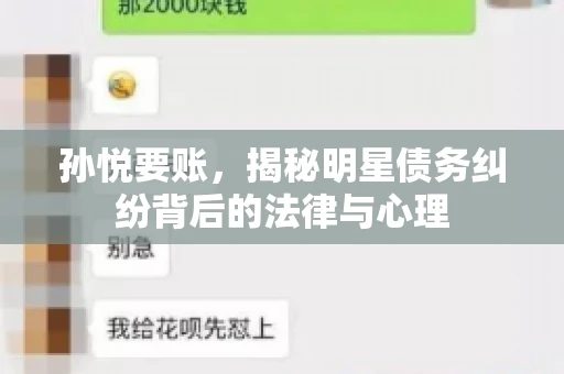 孙悦要账，揭秘明星债务纠纷背后的法律与心理