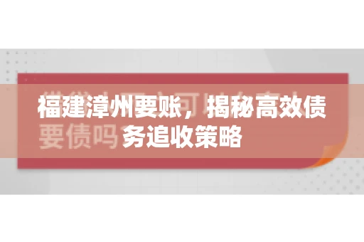 福建漳州要账，揭秘高效债务追收策略