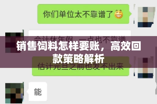 销售饲料怎样要账，高效回款策略解析
