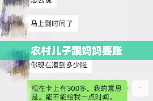 农村儿子跟妈妈要账