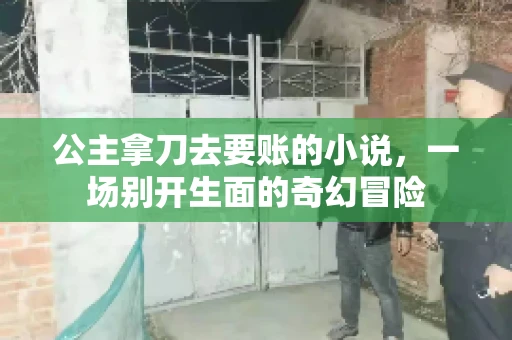 公主拿刀去要账的小说，一场别开生面的奇幻冒险