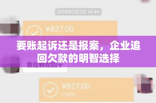 要账起诉还是报案，企业追回欠款的明智选择