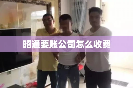 昭通要账公司怎么收费