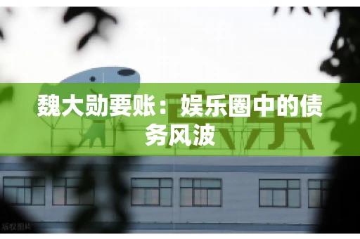 魏大勋要账：娱乐圈中的债务风波
