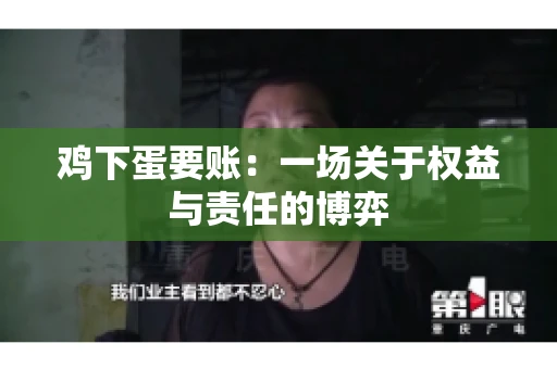 鸡下蛋要账：一场关于权益与责任的博弈