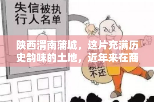 陕西渭南蒲城，这片充满历史韵味的土地，近年来在商业活动中也展现出了其独特的活力。其中，关于“陕西渭南蒲城要账”的话题，成为了不少企业关注的焦点。今天，我们就来聊聊这个话题，看看在蒲城，要账的那些事儿。