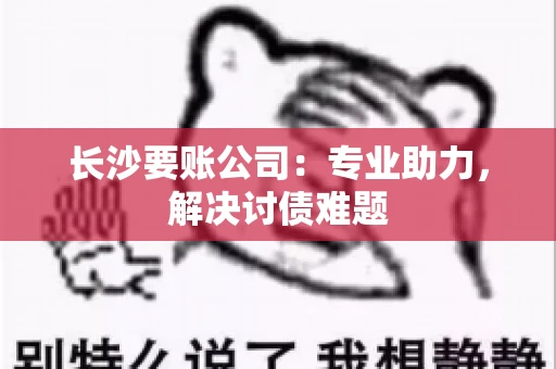 长沙要账公司：专业助力，解决讨债难题