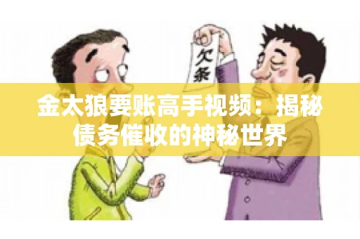 金太狼要账高手视频：揭秘债务催收的神秘世界