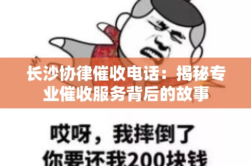 长沙协律催收电话：揭秘专业催收服务背后的故事