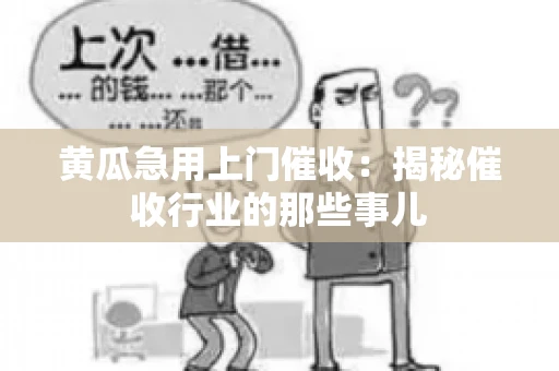 黄瓜急用上门催收：揭秘催收行业的那些事儿
