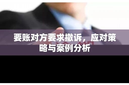 要账对方要求撤诉，应对策略与案例分析